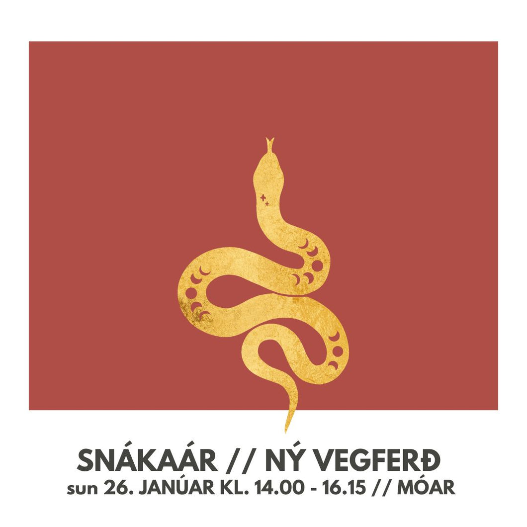 SNÁKAÁR - NÝ VEGFERÐ // 26. jan