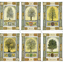 Load image into Gallery viewer, THE CELTIC TREE ORACLE stokkur
